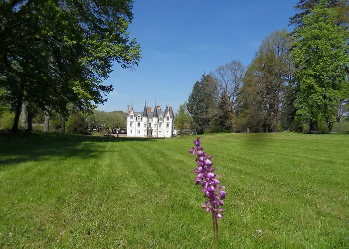 Alojamento de Acomodação e Pequeno-almoço Château De La Motte 3*