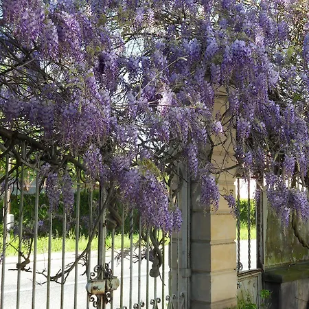 Chateau De La Motte Bed & Breakfast Noailly